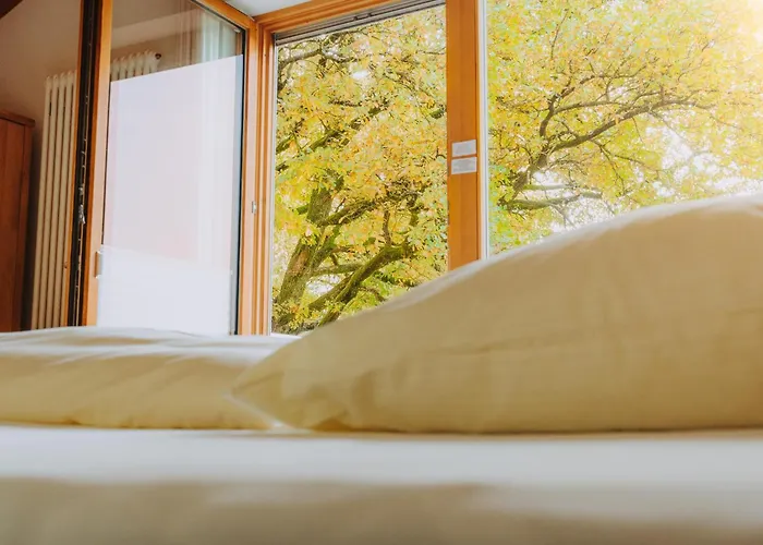 Guest house Lindenhaus 3*